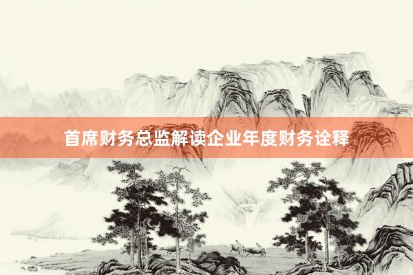 首席财务总监解读企业年度财务诠释